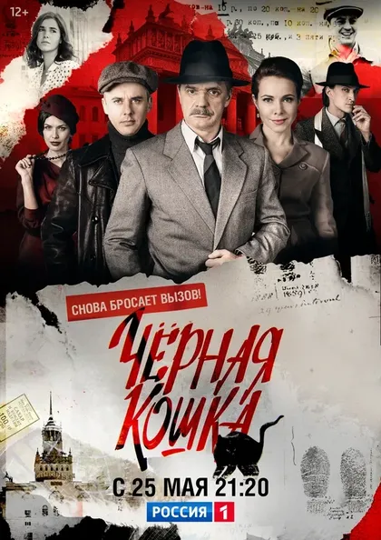 Постер Черная кошка